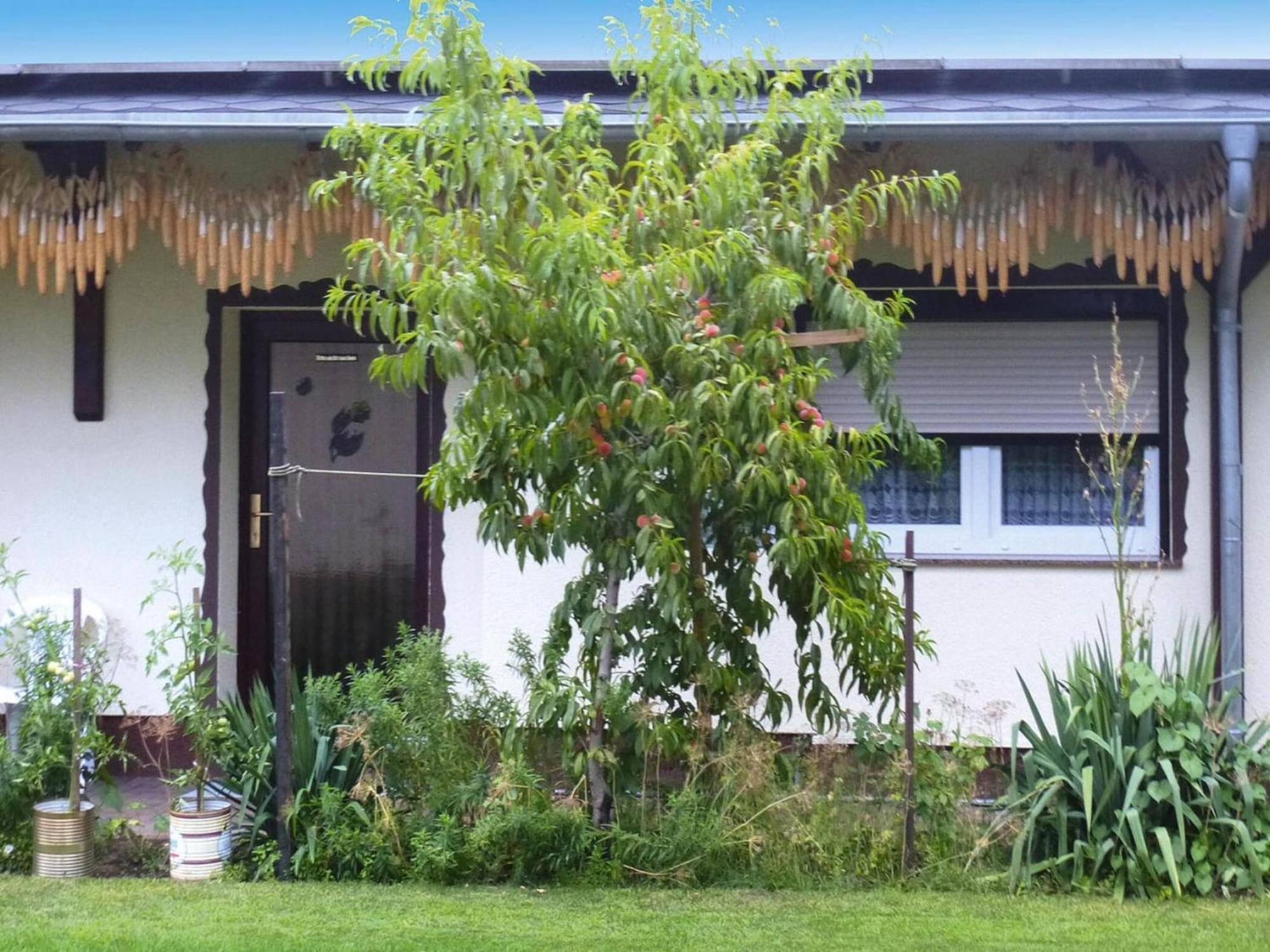 Bungalow In Luebben An Der Spree 外观 照片